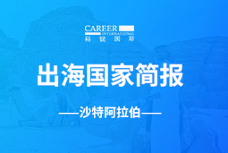 1066vip威尼斯(中国)GO GLOBAL | 沙特阿拉伯国家简报