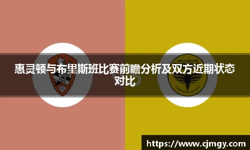 惠灵顿与布里斯班比赛前瞻分析及双方近期状态对比