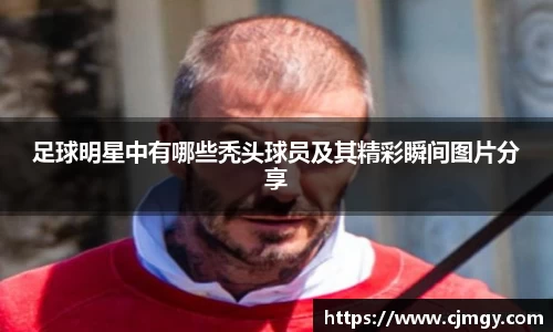 足球明星中有哪些秃头球员及其精彩瞬间图片分享